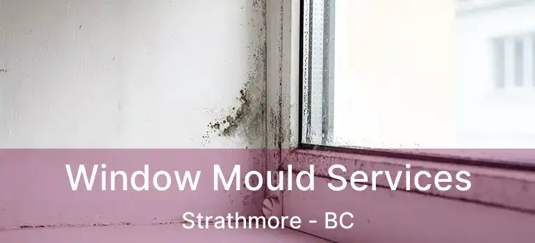  Window Mould Services Strathmore - BC