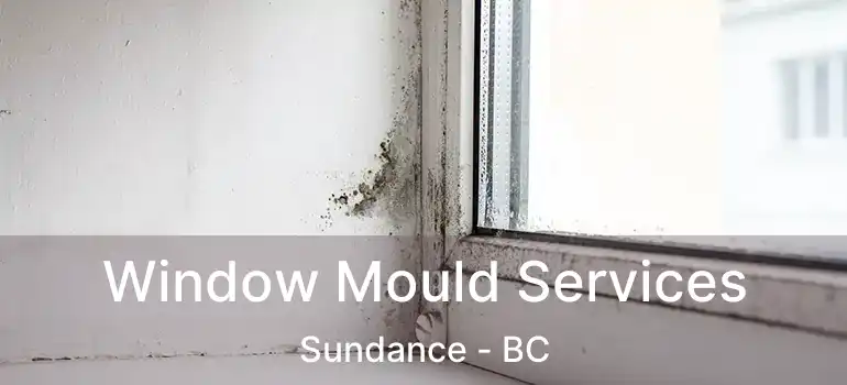  Window Mould Services Sundance - BC
