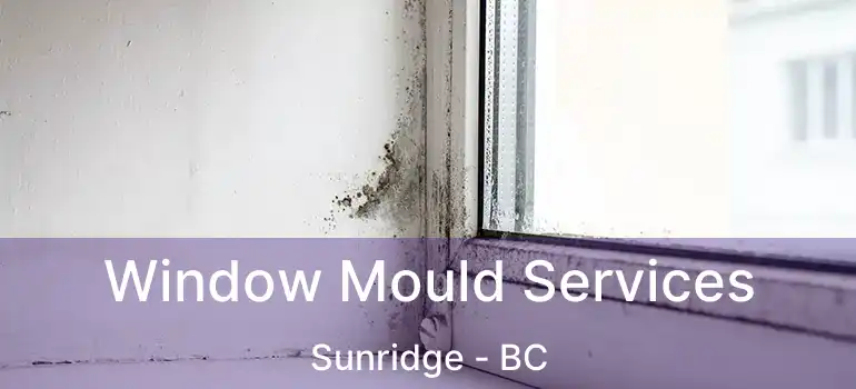  Window Mould Services Sunridge - BC