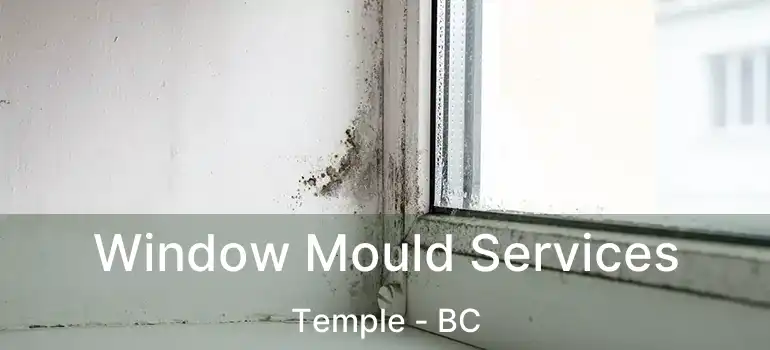  Window Mould Services Temple - BC