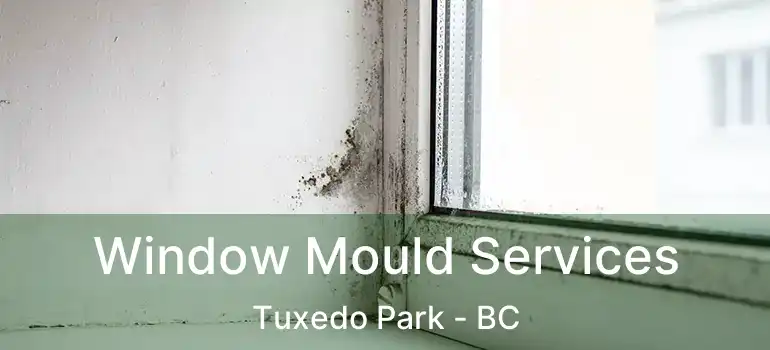  Window Mould Services Tuxedo Park - BC