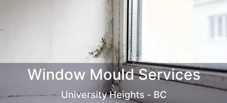  Window Mould Services University Heights - BC