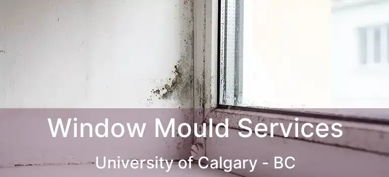  Window Mould Services University of Calgary - BC