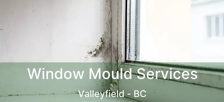  Window Mould Services Valleyfield - BC