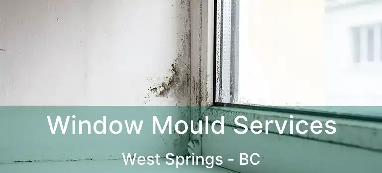  Window Mould Services West Springs - BC