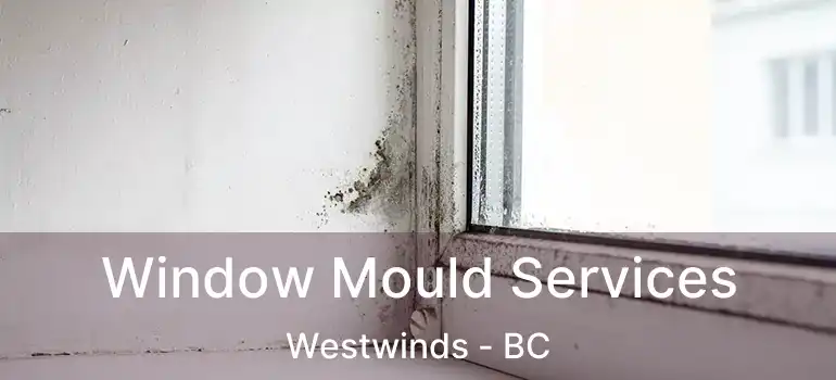  Window Mould Services Westwinds - BC