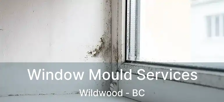  Window Mould Services Wildwood - BC