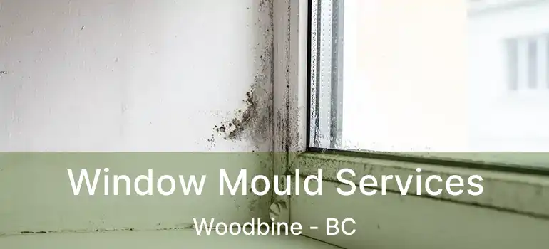  Window Mould Services Woodbine - BC