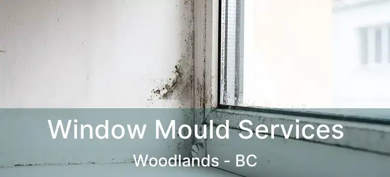  Window Mould Services Woodlands - BC