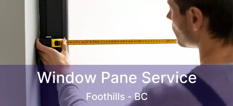  Window Pane Service Foothills - BC