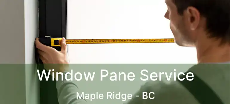  Window Pane Service Maple Ridge - BC
