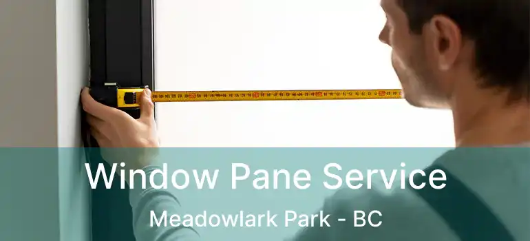  Window Pane Service Meadowlark Park - BC