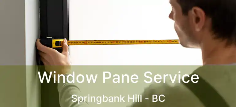  Window Pane Service Springbank Hill - BC