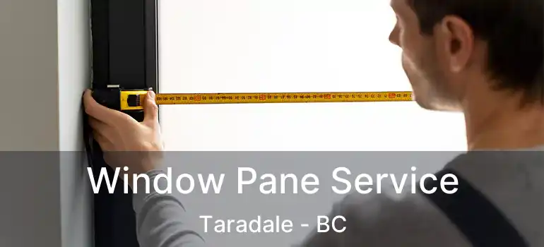  Window Pane Service Taradale - BC