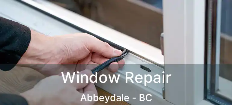  Window Repair Abbeydale - BC
