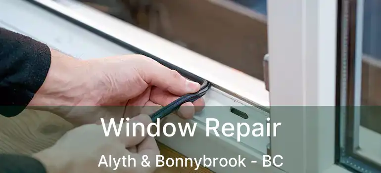  Window Repair Alyth & Bonnybrook - BC