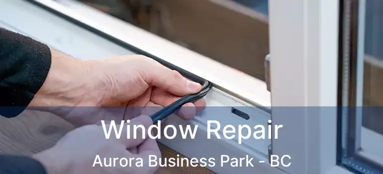  Window Repair Aurora Business Park - BC