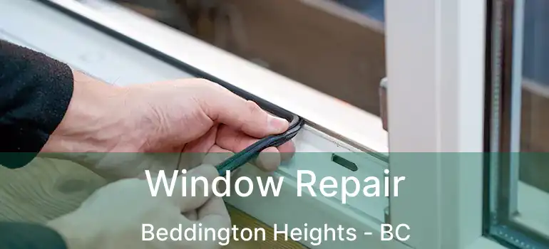  Window Repair Beddington Heights - BC