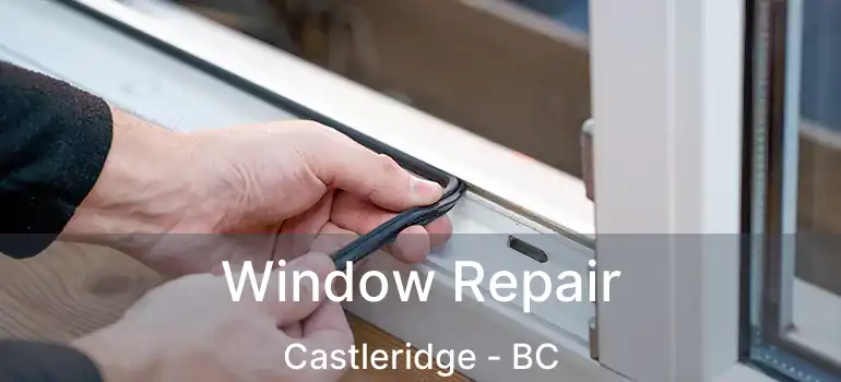  Window Repair Castleridge - BC