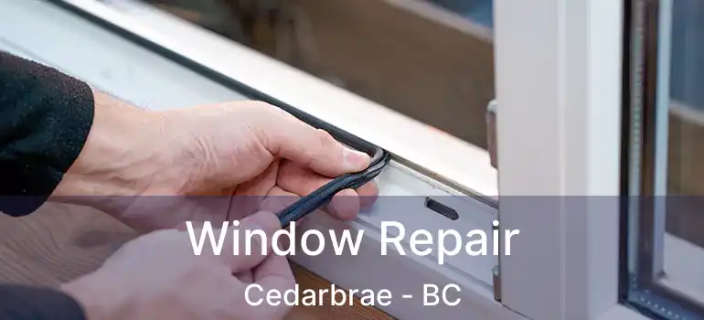  Window Repair Cedarbrae - BC