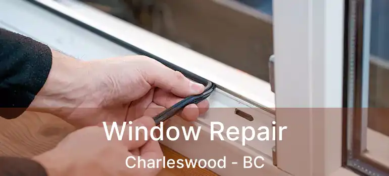  Window Repair Charleswood - BC
