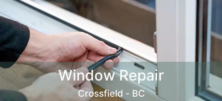  Window Repair Crossfield - BC