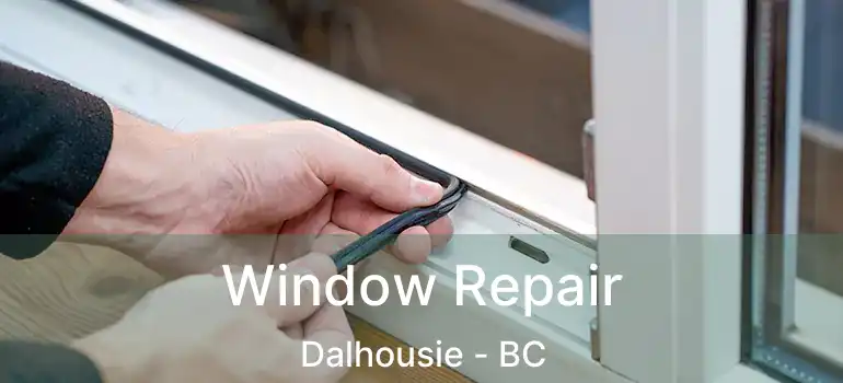  Window Repair Dalhousie - BC