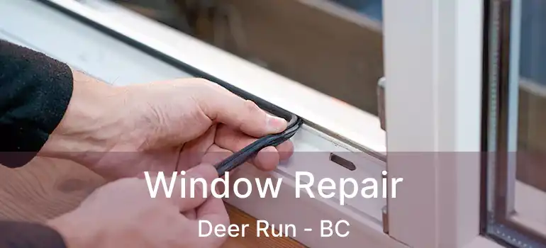  Window Repair Deer Run - BC