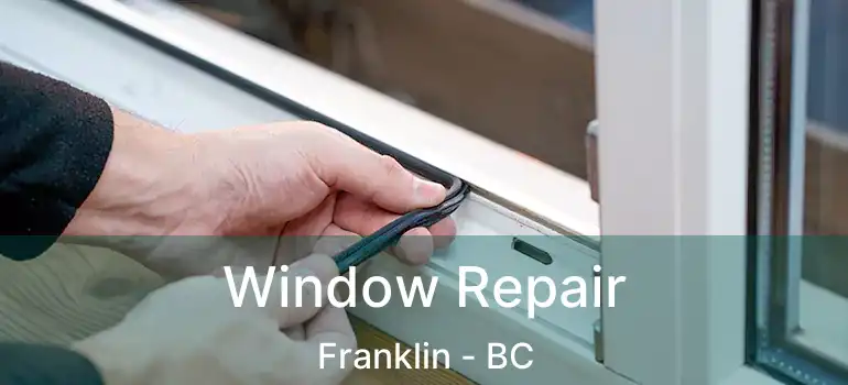  Window Repair Franklin - BC