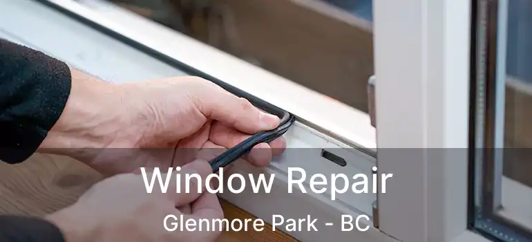  Window Repair Glenmore Park - BC