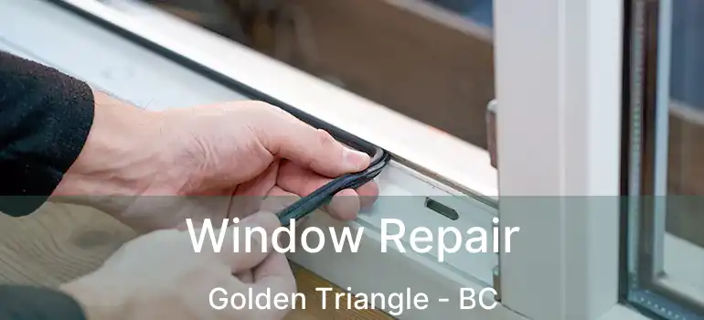  Window Repair Golden Triangle - BC