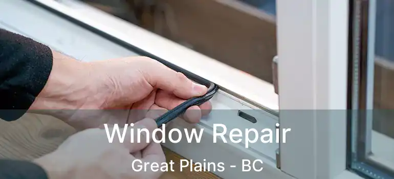  Window Repair Great Plains - BC