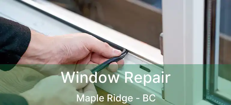  Window Repair Maple Ridge - BC