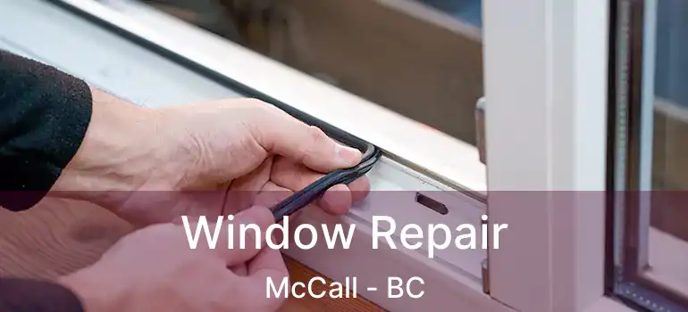  Window Repair McCall - BC