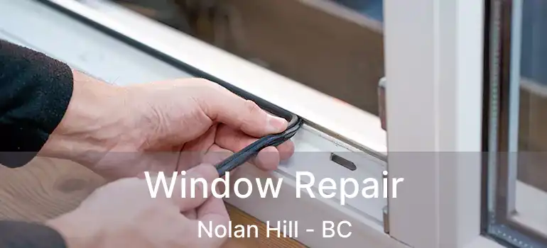  Window Repair Nolan Hill - BC