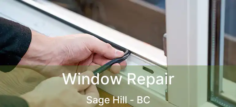  Window Repair Sage Hill - BC