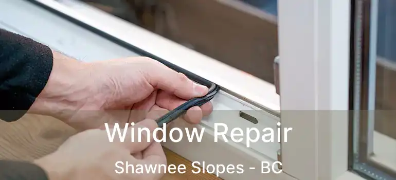  Window Repair Shawnee Slopes - BC