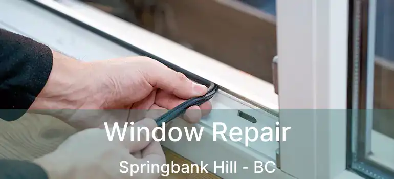 Window Repair Springbank Hill - BC