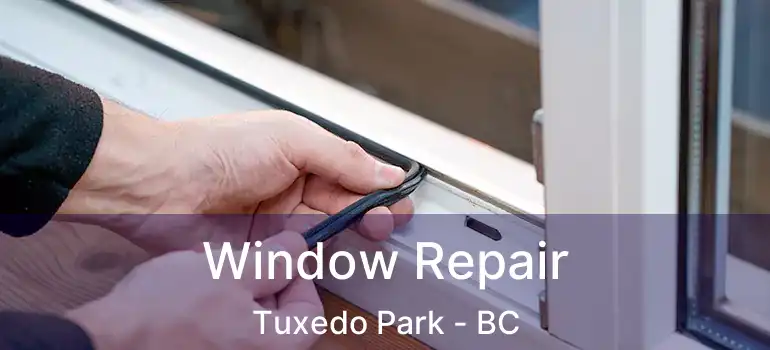  Window Repair Tuxedo Park - BC