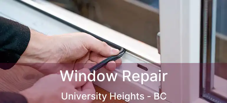  Window Repair University Heights - BC
