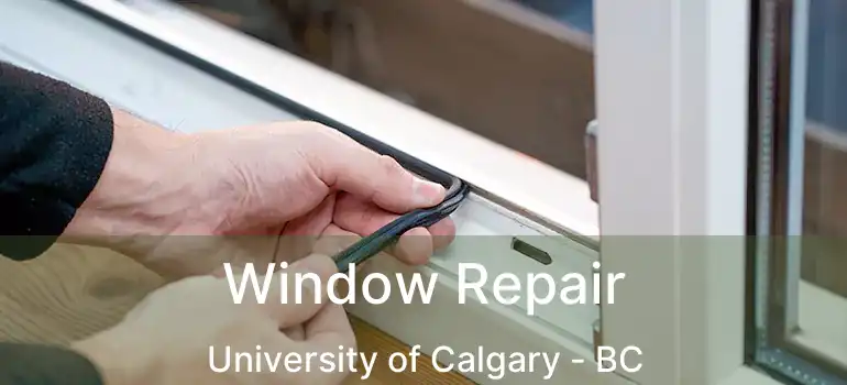  Window Repair University of Calgary - BC