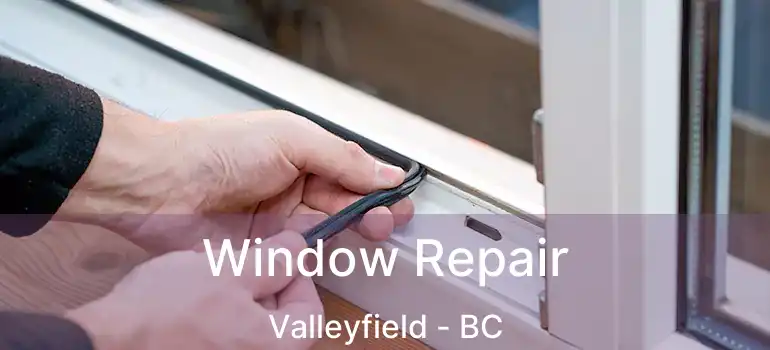  Window Repair Valleyfield - BC