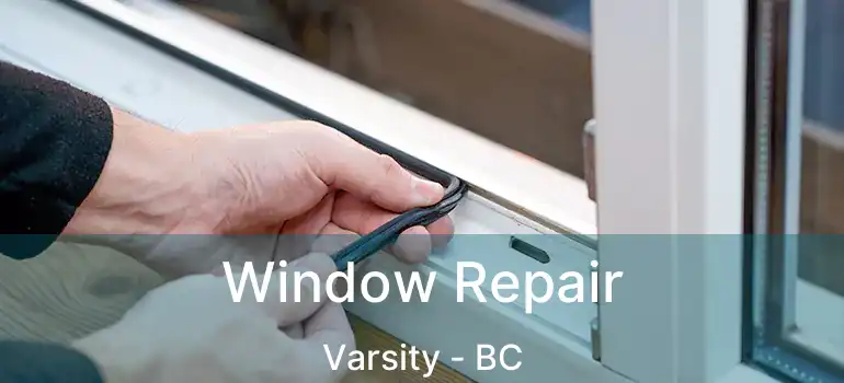  Window Repair Varsity - BC