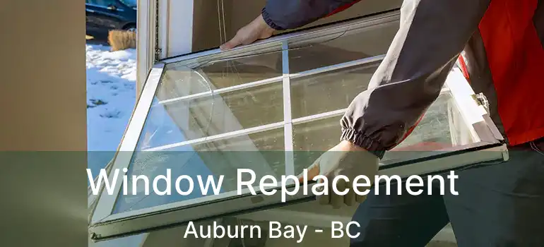  Window Replacement Auburn Bay - BC