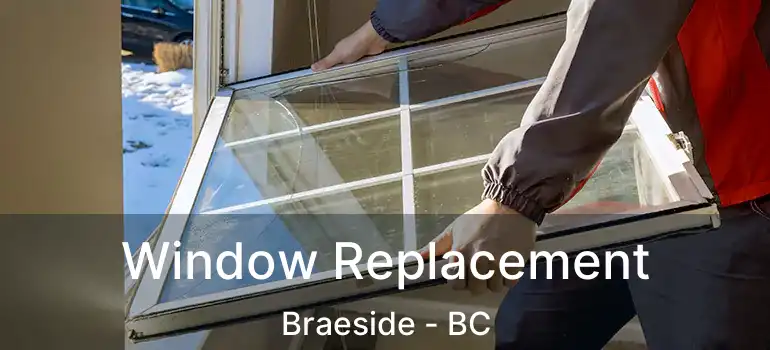  Window Replacement Braeside - BC