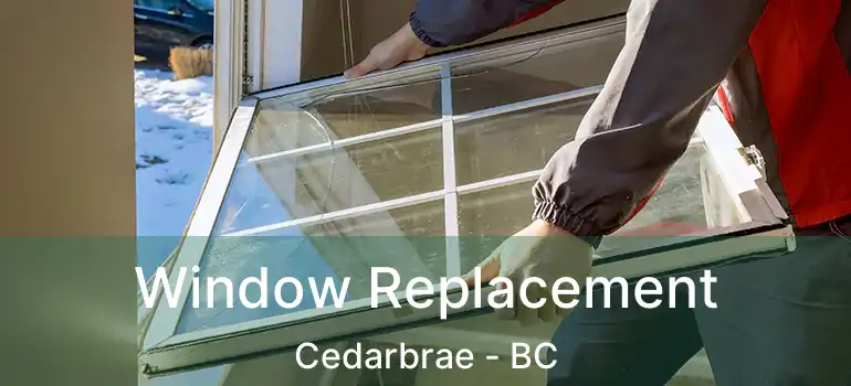  Window Replacement Cedarbrae - BC