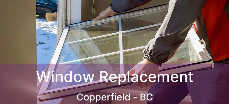  Window Replacement Copperfield - BC