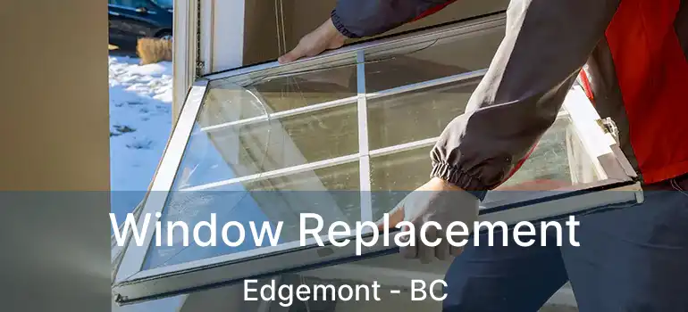  Window Replacement Edgemont - BC