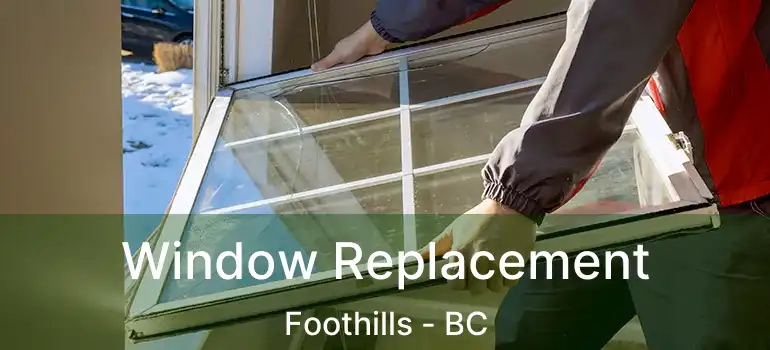  Window Replacement Foothills - BC