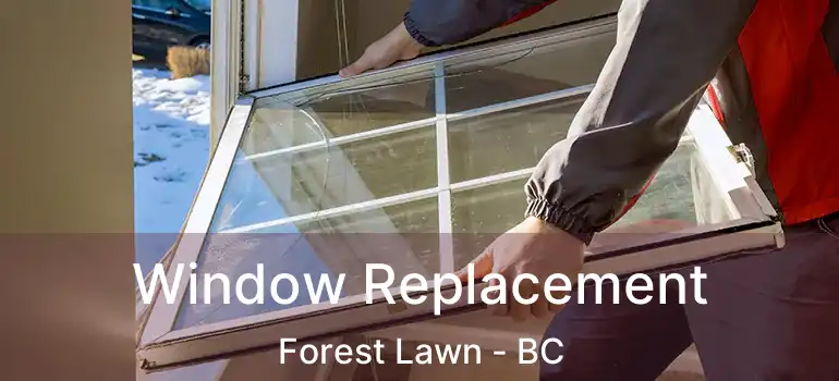  Window Replacement Forest Lawn - BC